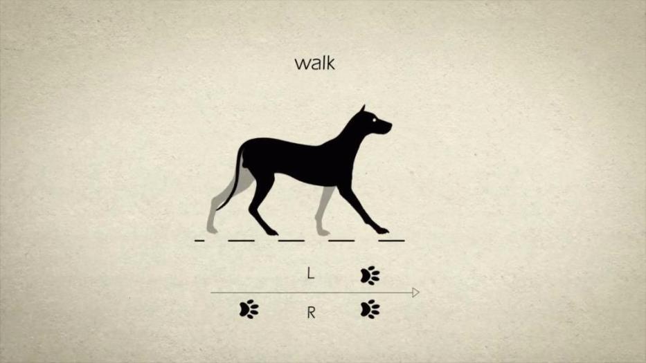 Ĺ·߄Ӯ