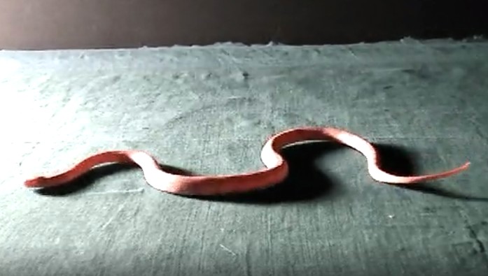 挍ڵеĄ