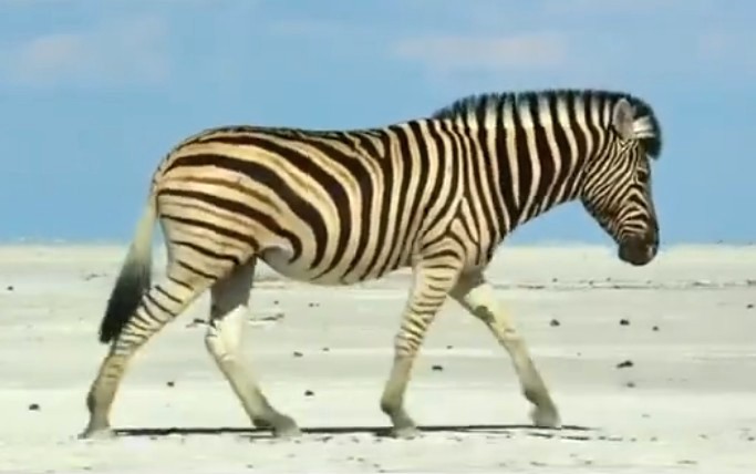  R·˜ʄ