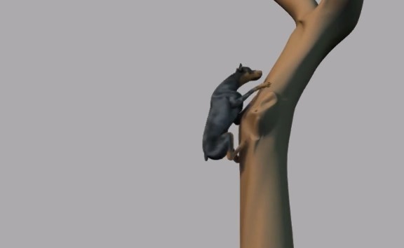 СȥĄ