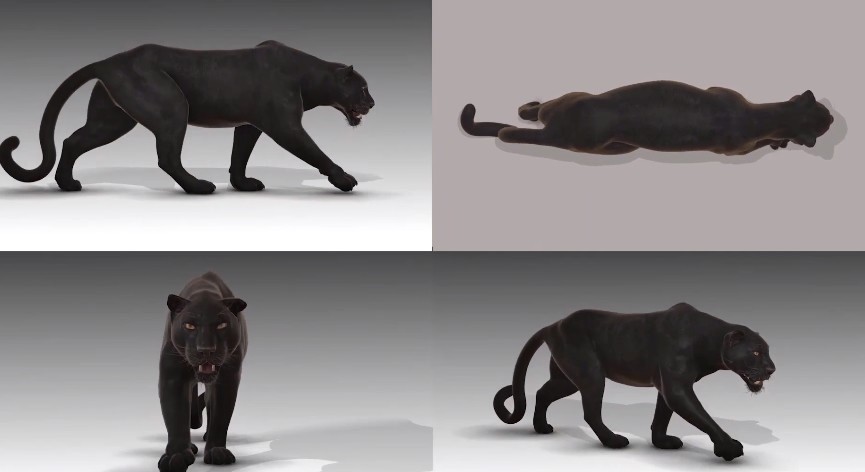 大量的四足動物走跑動作參考